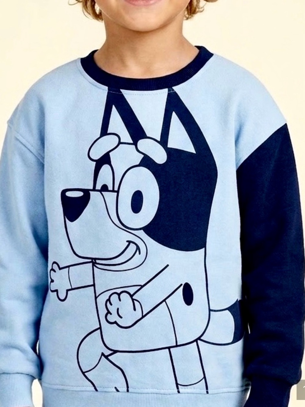 Disney’s BLUEY dog Sweatshirt | by LUDO Studios | NWOT | Kids Size 6